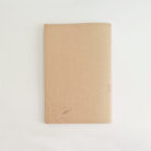 lemon notebook